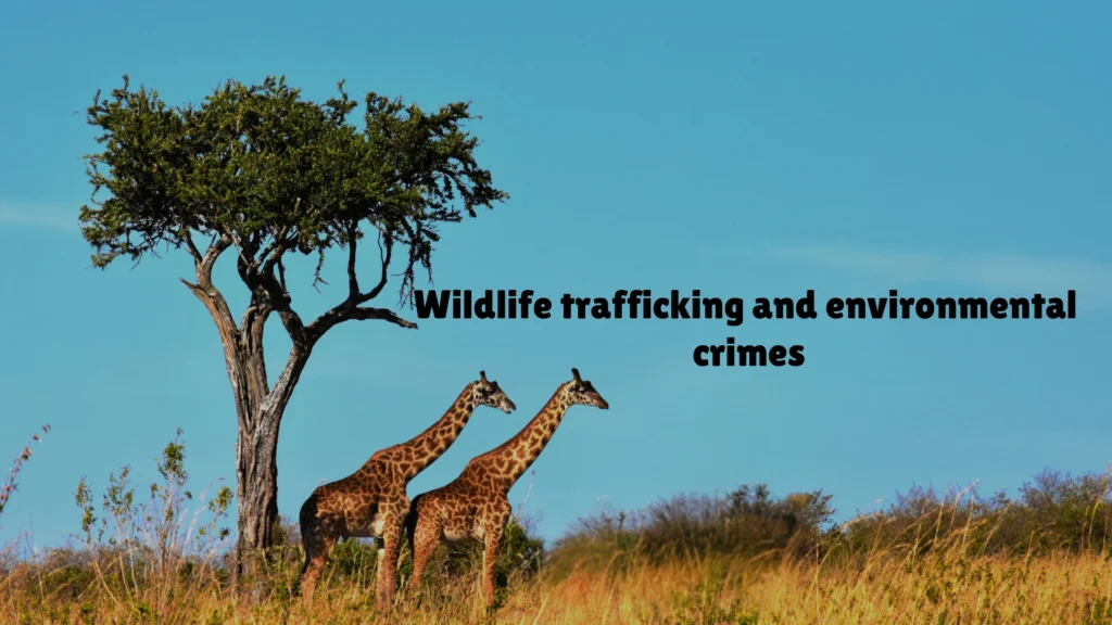 Wildlife trafficking and environmental crimes 2 Wildlife trafficking and environmental crimes